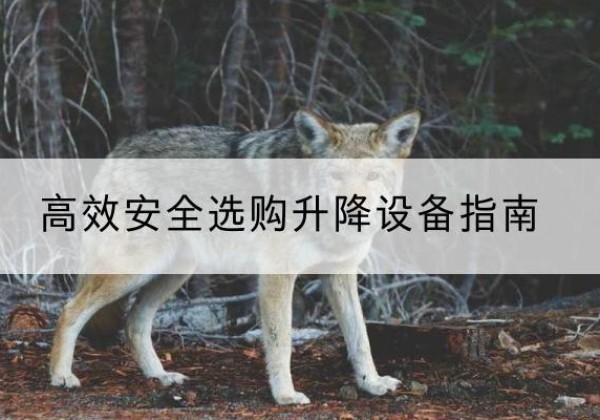 西充升降货梯厂家推荐-*安全选购升降设备指南