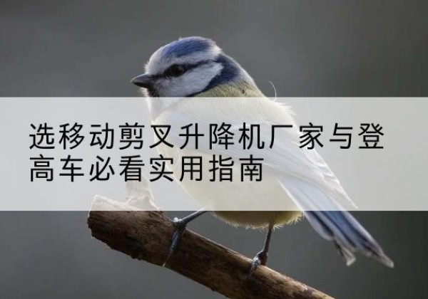 西充电动升降机厂家-选移动剪叉升降机厂家与登高车必看实用指南