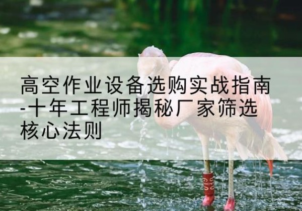 西充剪叉式升降机厂家-高空作业设备选购实战指南-十年工程师揭秘厂家筛选核心法则
